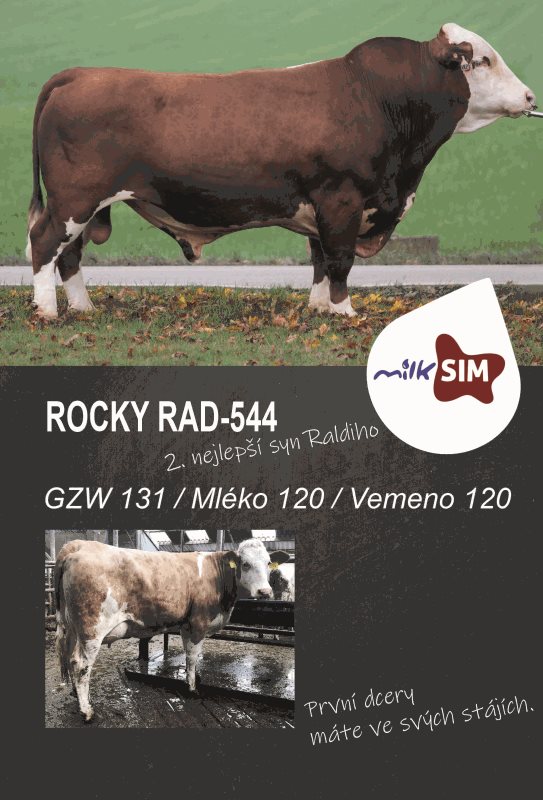 2. nejlepší syn Raldiho v nabídce