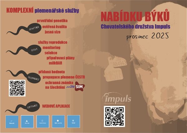 Nabídka býků - prosinec 2025