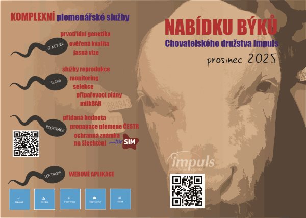 Nabídka býků prosinec 2025