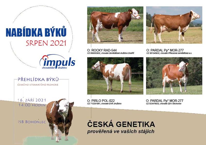 Nabídka býků