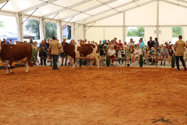 Kralovická zemědělská výstava na Hadačce 2023