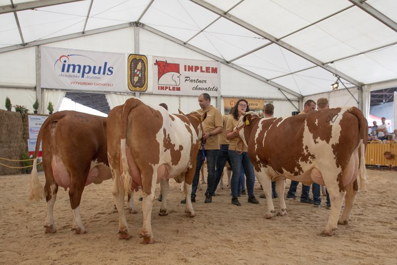 Kralovická zemědělská výstava na Hadačce 2022