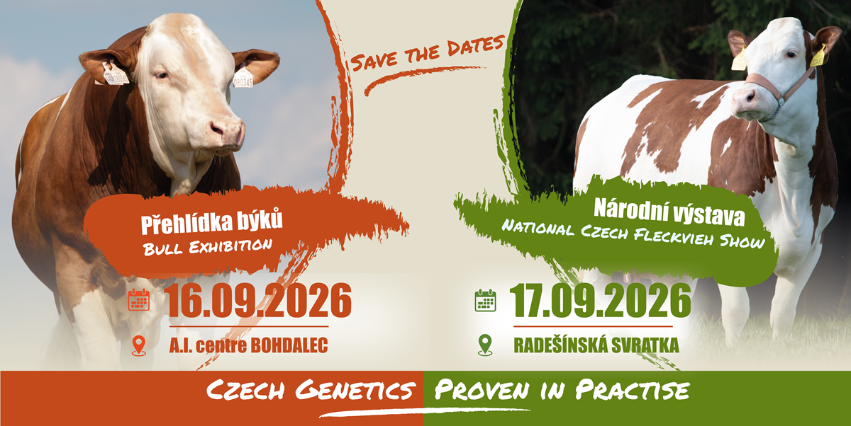 Bez-nazvu-1-01-(7).png