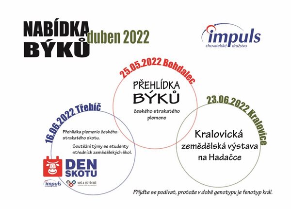 Nabídka býků - duben 2022