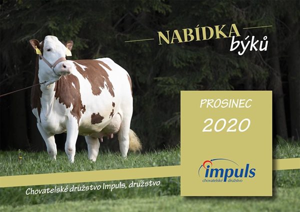 Nabídka býků - prosinec 2020