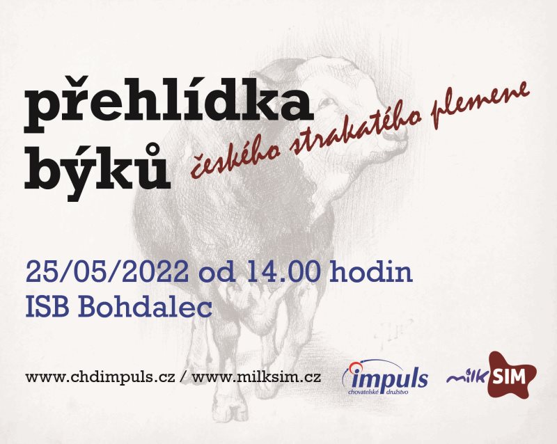 Přehlídka býků ISB Bohdalec