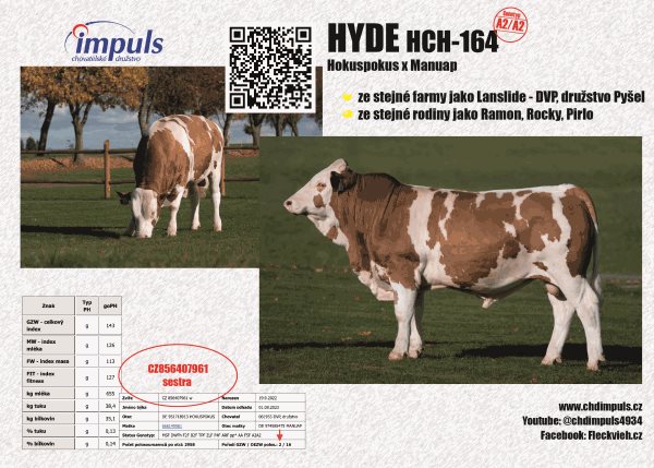 HYDE HCH-164